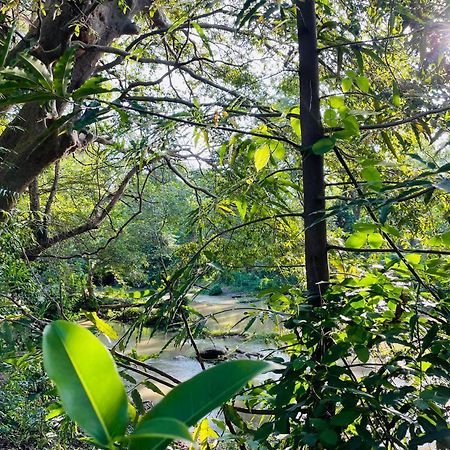 טיסמהרמה Yala Safari River View Hotel מראה חיצוני תמונה