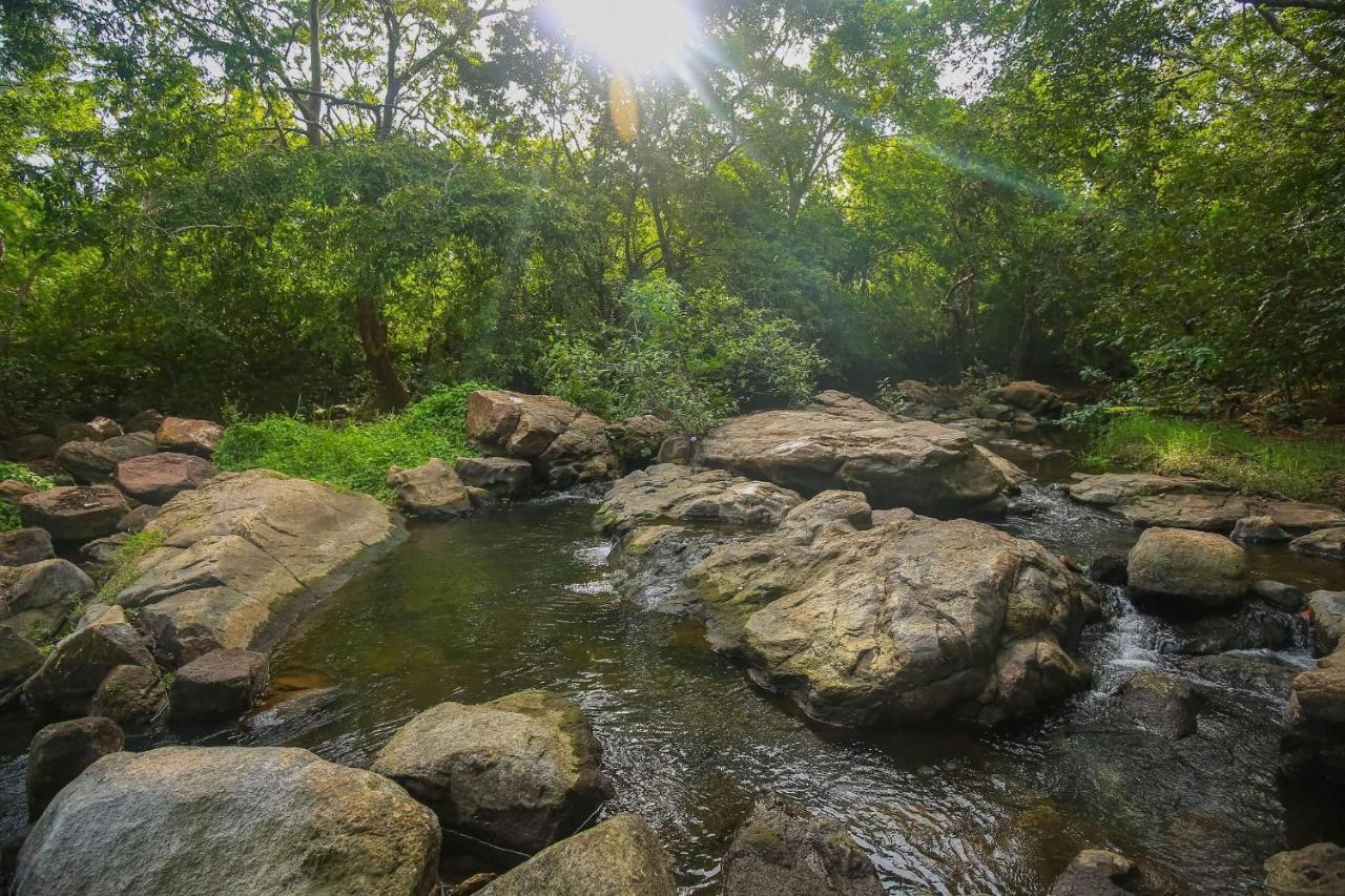 טיסמהרמה Yala Safari River View Hotel מראה חיצוני תמונה