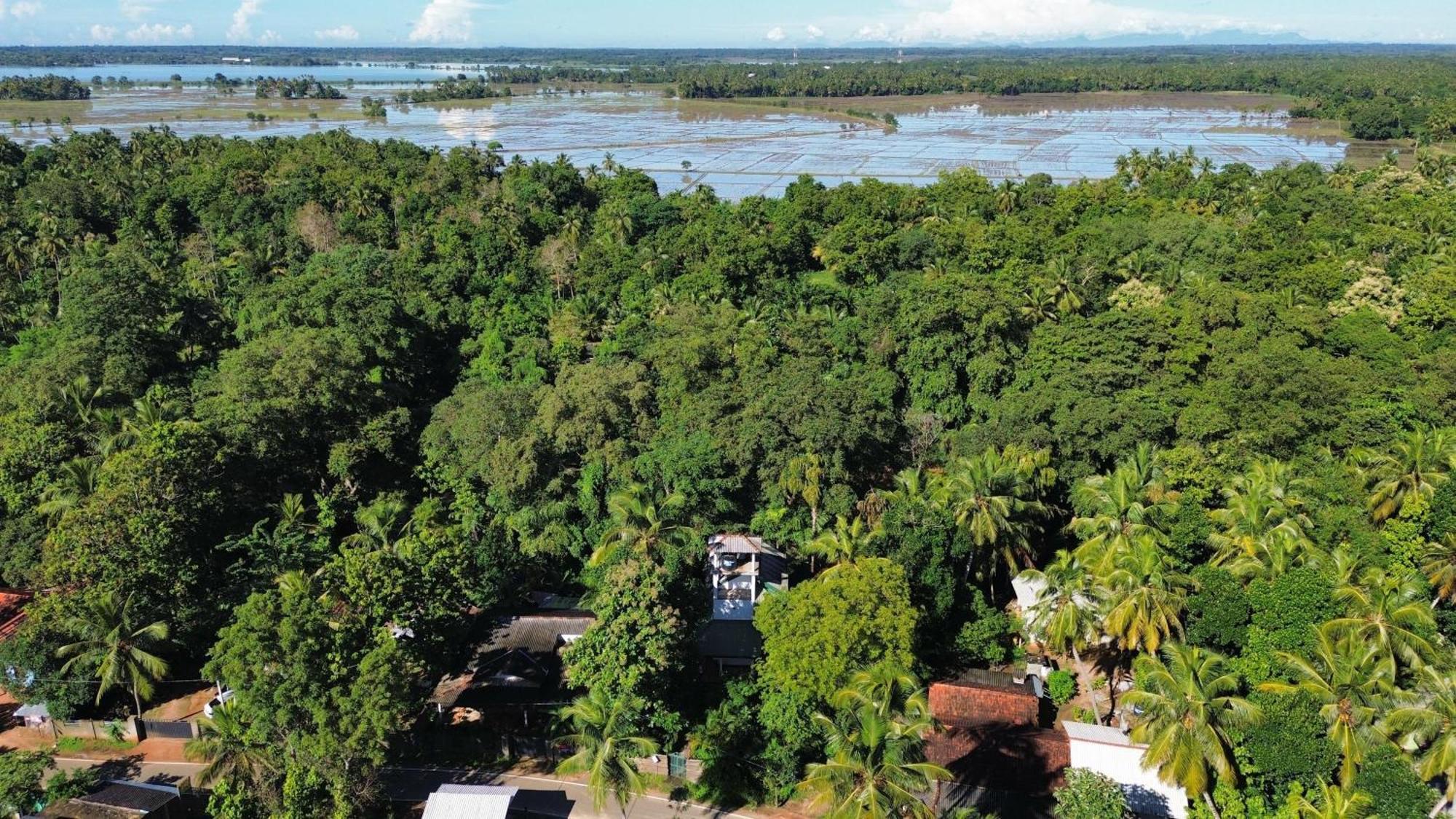 טיסמהרמה Yala Safari River View Hotel מראה חיצוני תמונה