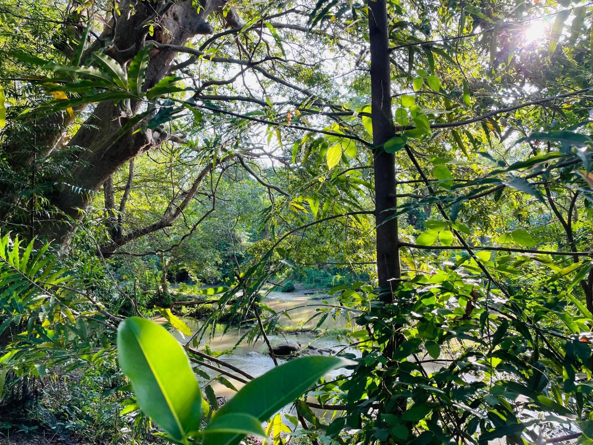 טיסמהרמה Yala Safari River View Hotel מראה חיצוני תמונה