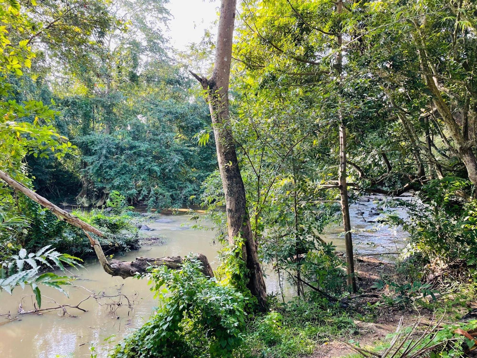 טיסמהרמה Yala Safari River View Hotel מראה חיצוני תמונה