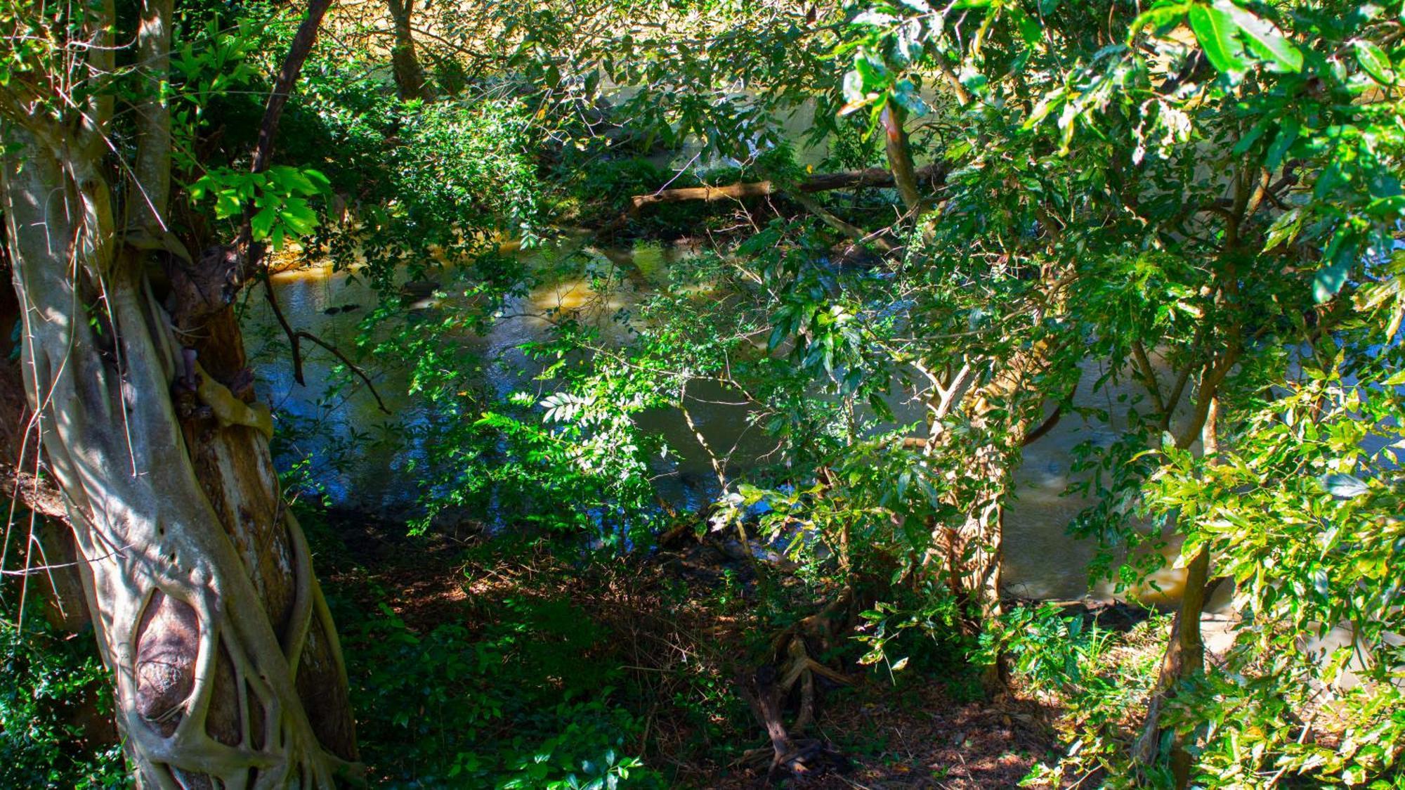 טיסמהרמה Yala Safari River View Hotel מראה חיצוני תמונה
