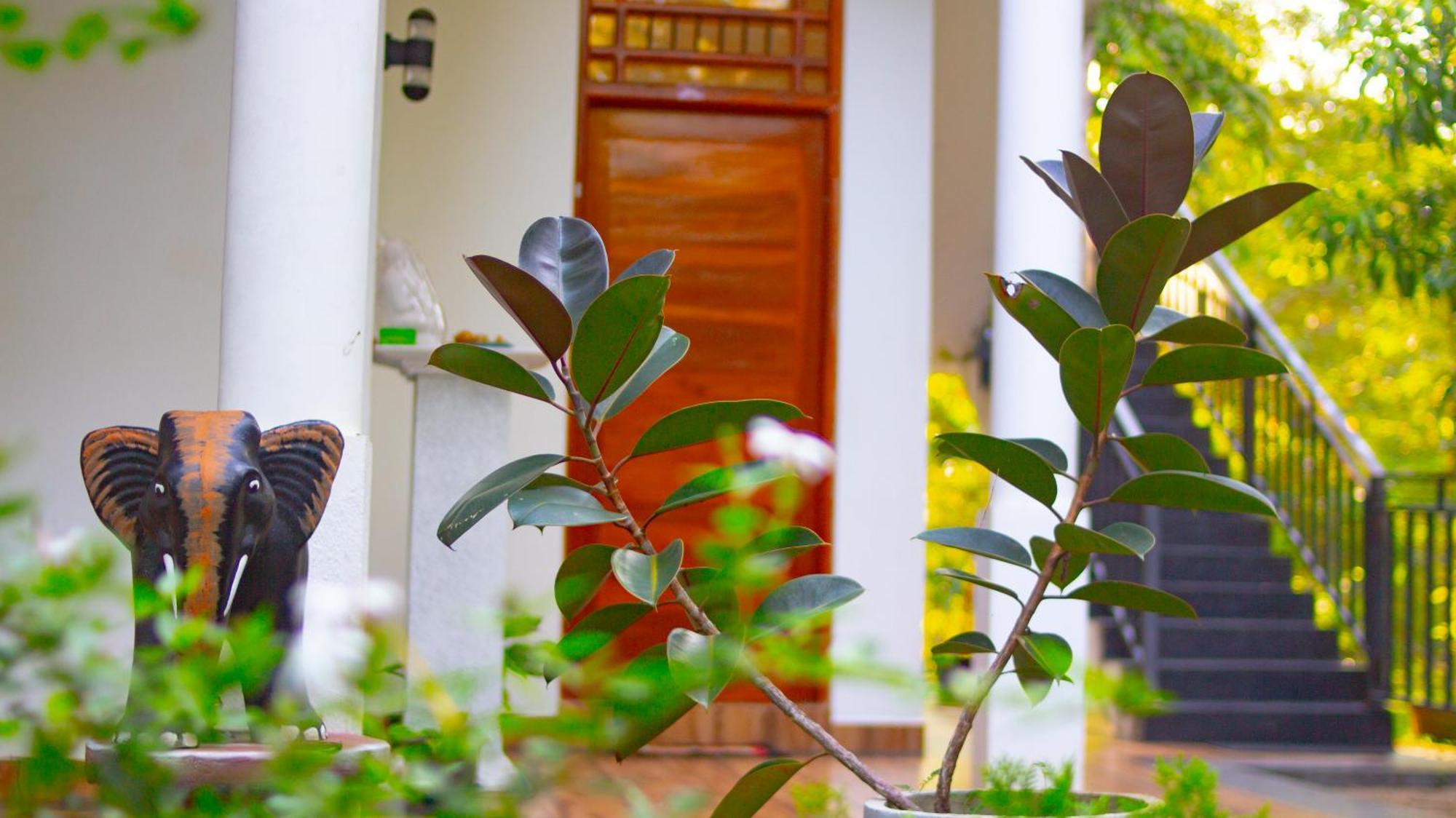 טיסמהרמה Yala Safari River View Hotel מראה חיצוני תמונה