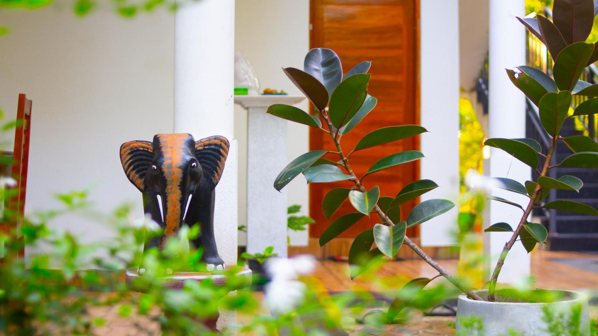 טיסמהרמה Yala Safari River View Hotel מראה חיצוני תמונה