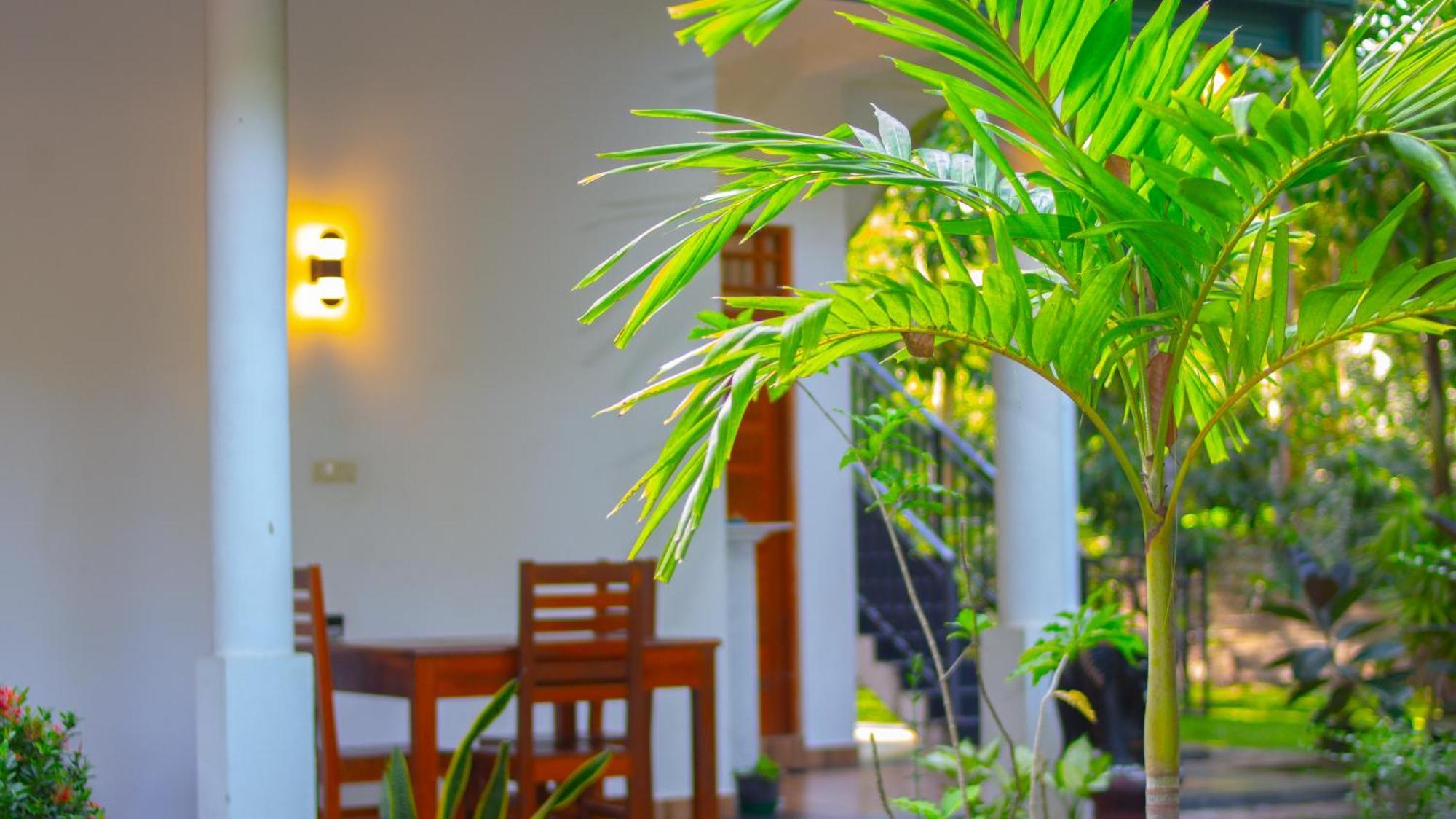 טיסמהרמה Yala Safari River View Hotel מראה חיצוני תמונה